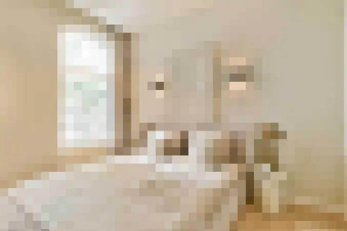 Leidsegracht 110 E Amsterdam thumbnail 6