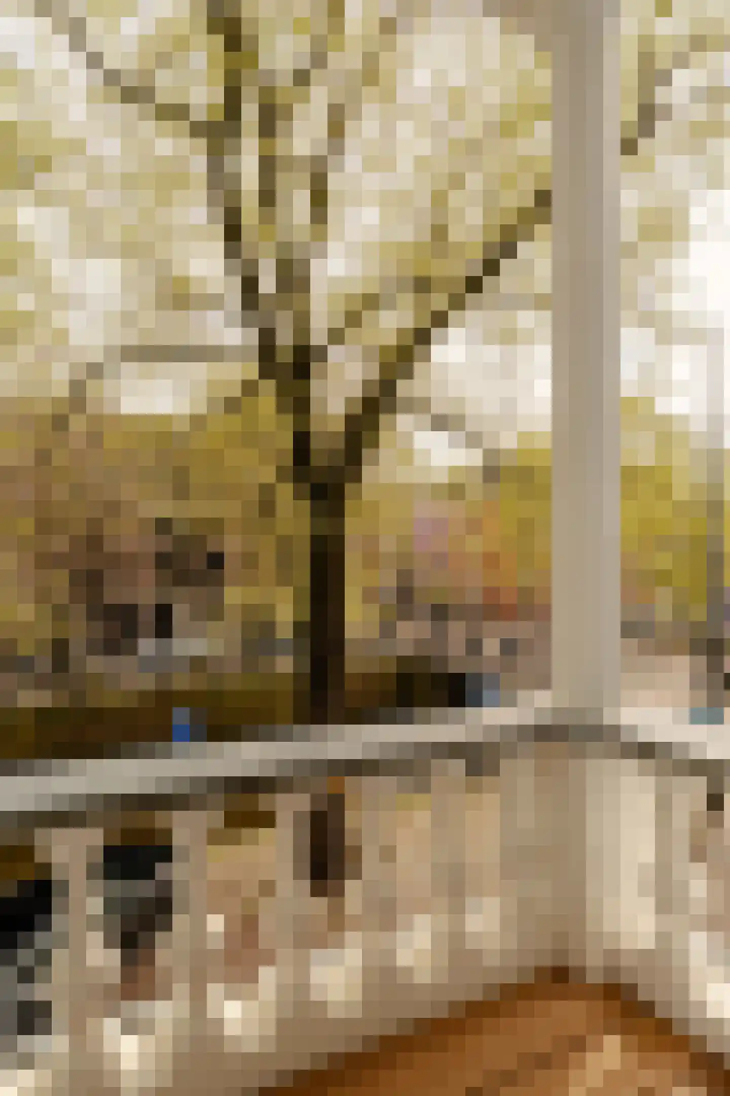 Leidsegracht 112 F Amsterdam thumbnail 13