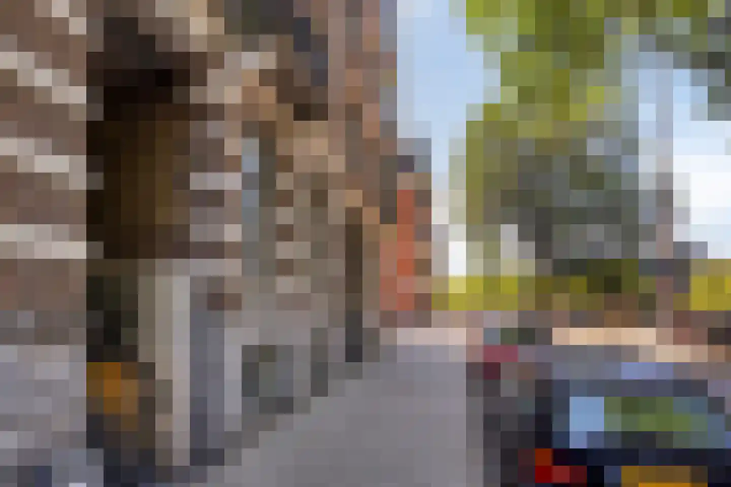 Leidsegracht 115 3 Amsterdam thumbnail 40