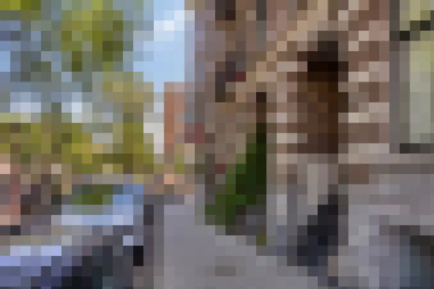 Leidsegracht 115 3 Amsterdam thumbnail 41