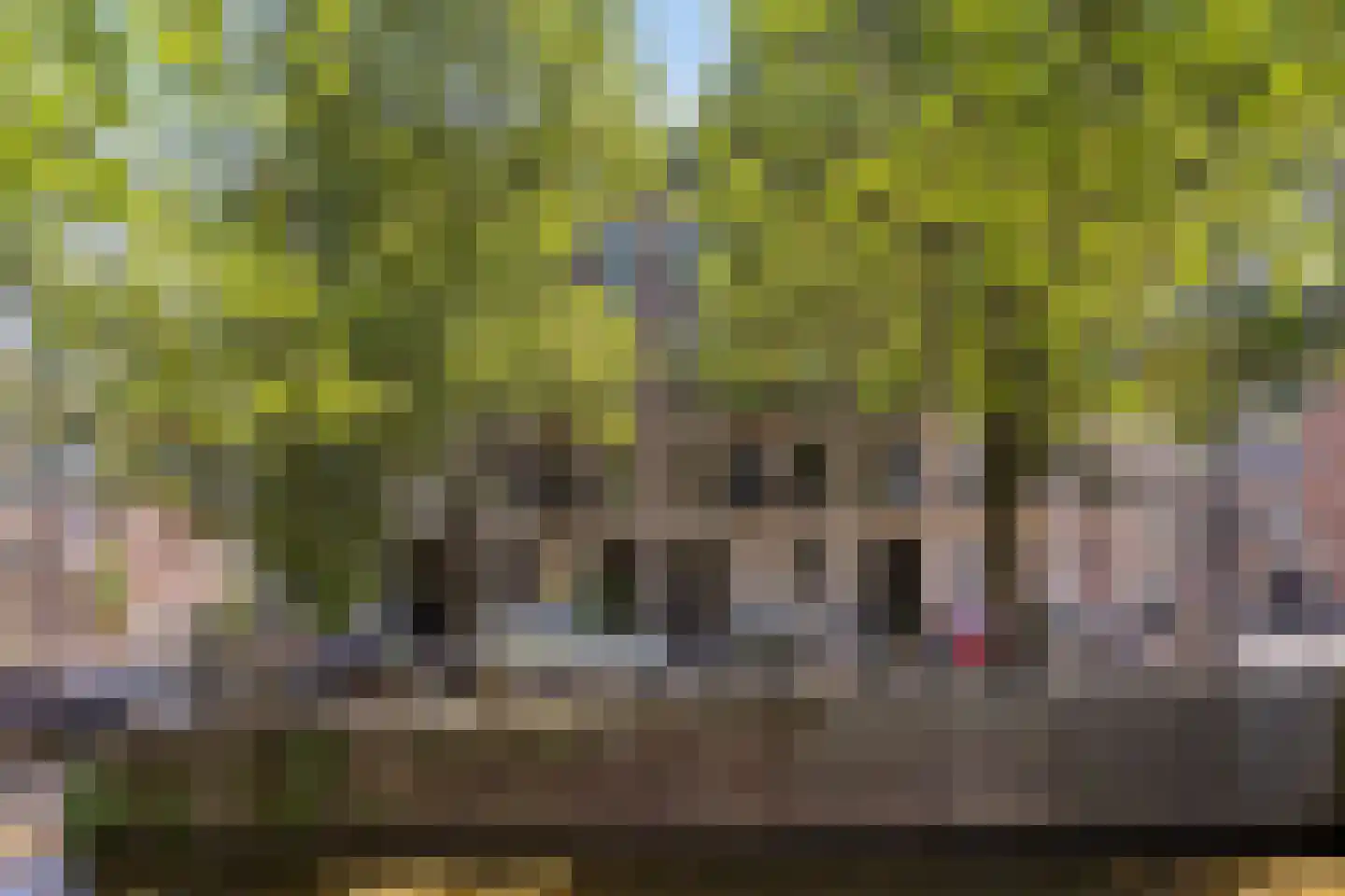 Leidsegracht 115 3 Amsterdam thumbnail 42