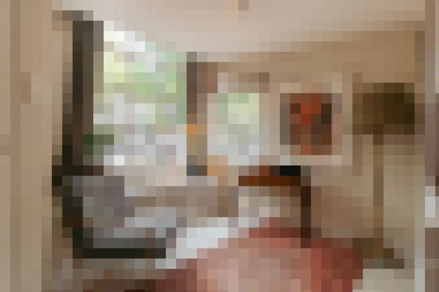 Leidsegracht 47 Amsterdam thumbnail 12