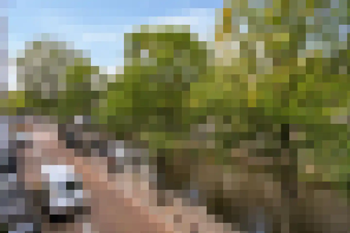 Leidsegracht 47 Amsterdam thumbnail 14