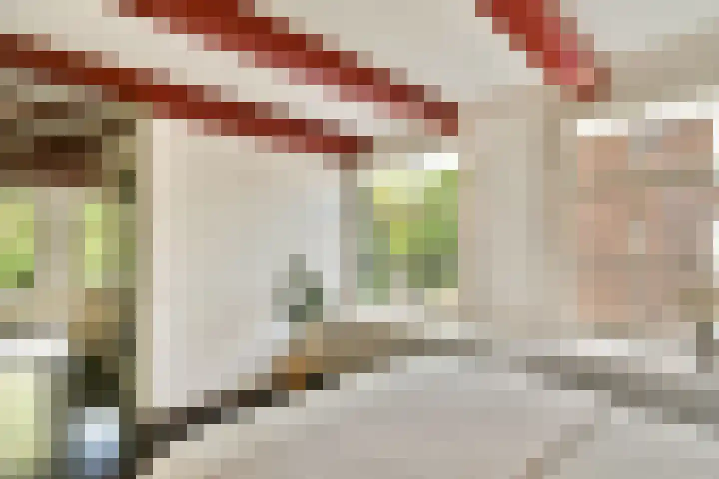 Leidsegracht 47 Amsterdam thumbnail 19