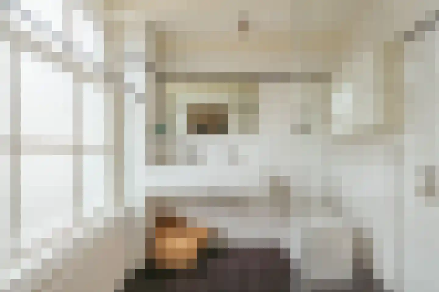 Leidsegracht 47 Amsterdam thumbnail 25