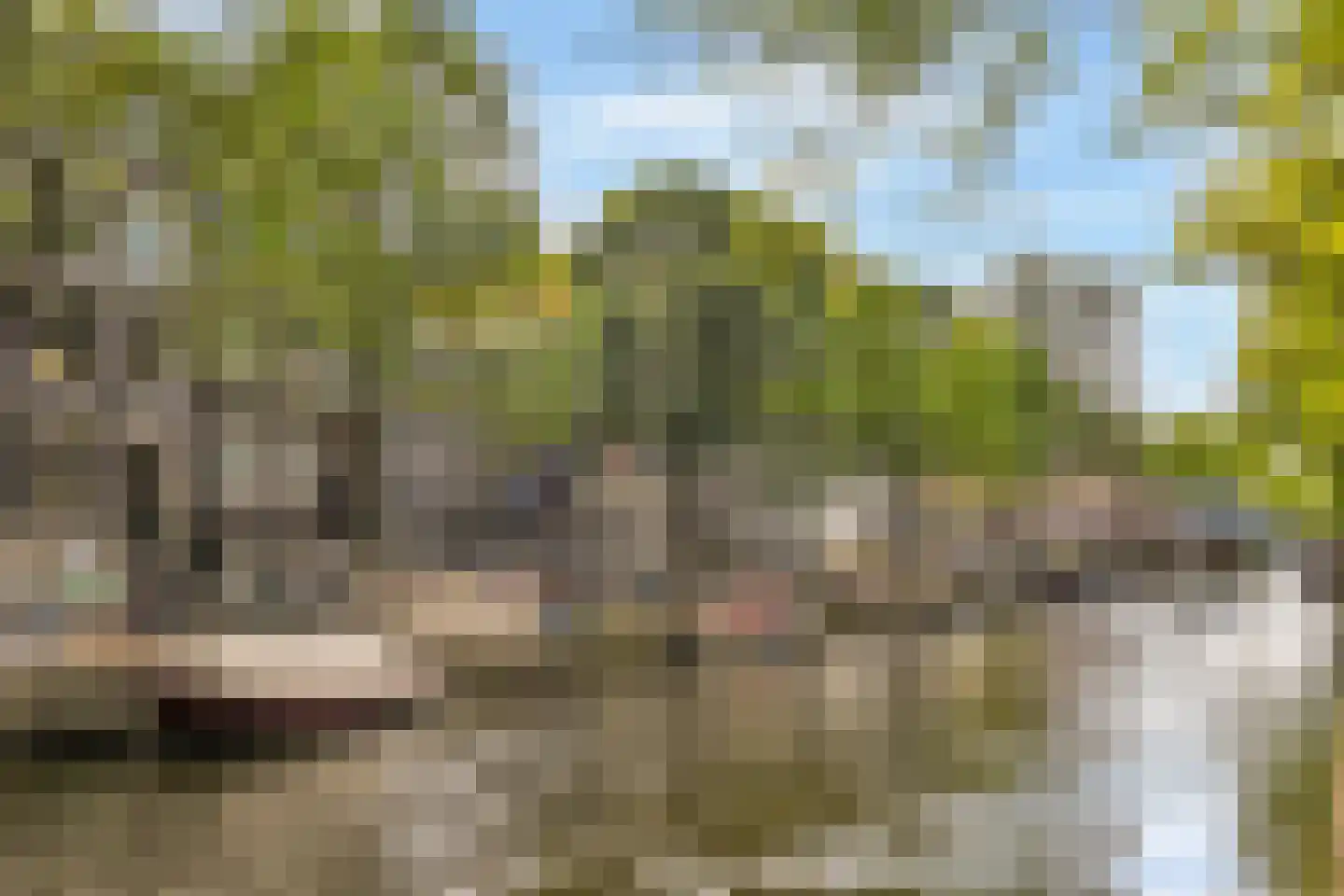 Leidsegracht 47 Amsterdam thumbnail 31