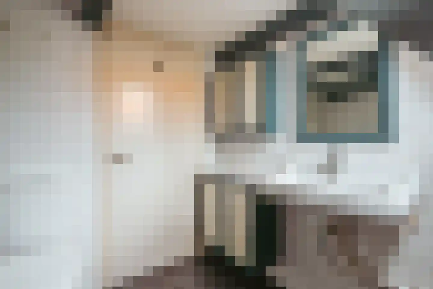 Leidsegracht 47 Amsterdam thumbnail 37