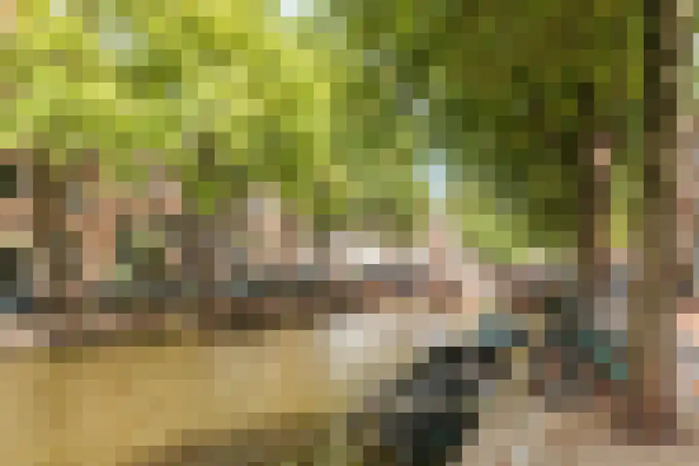 Leidsegracht 47 Amsterdam thumbnail 4