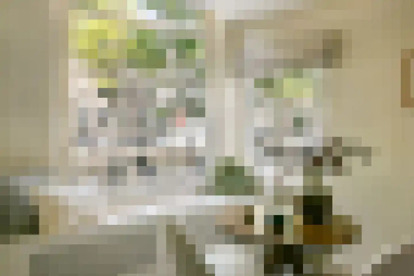 Leidsegracht 47 Amsterdam thumbnail 7