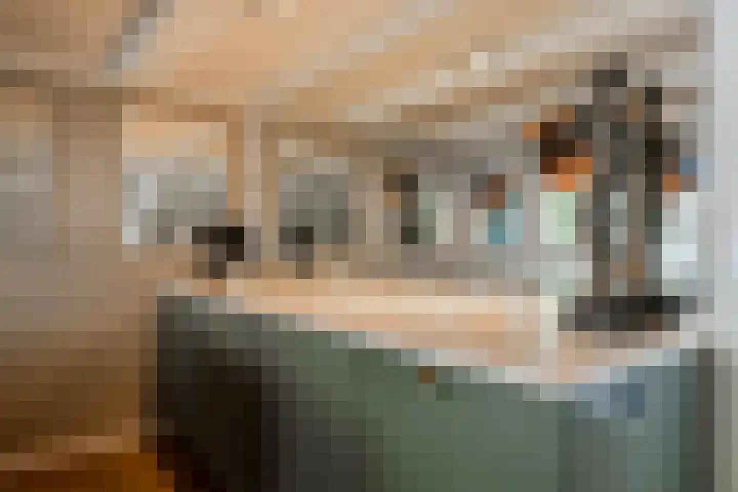 Leidsegracht 49 Amsterdam thumbnail 12