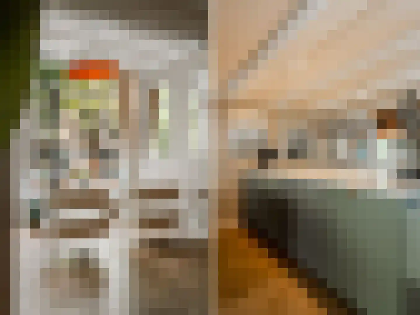 Leidsegracht 49 Amsterdam thumbnail 13