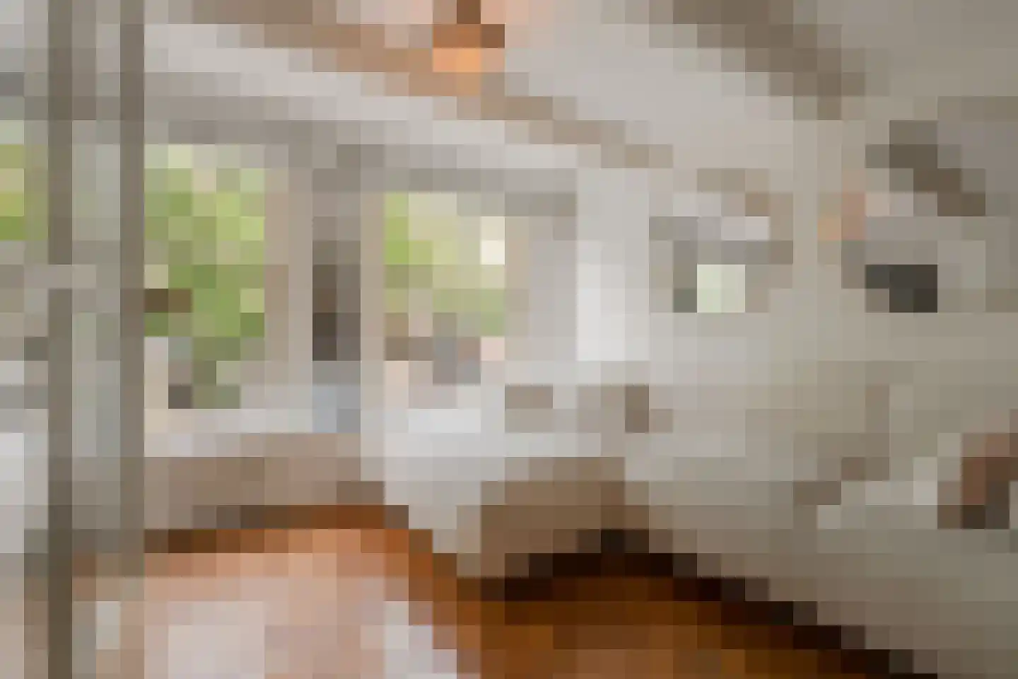 Leidsegracht 49 Amsterdam thumbnail 19
