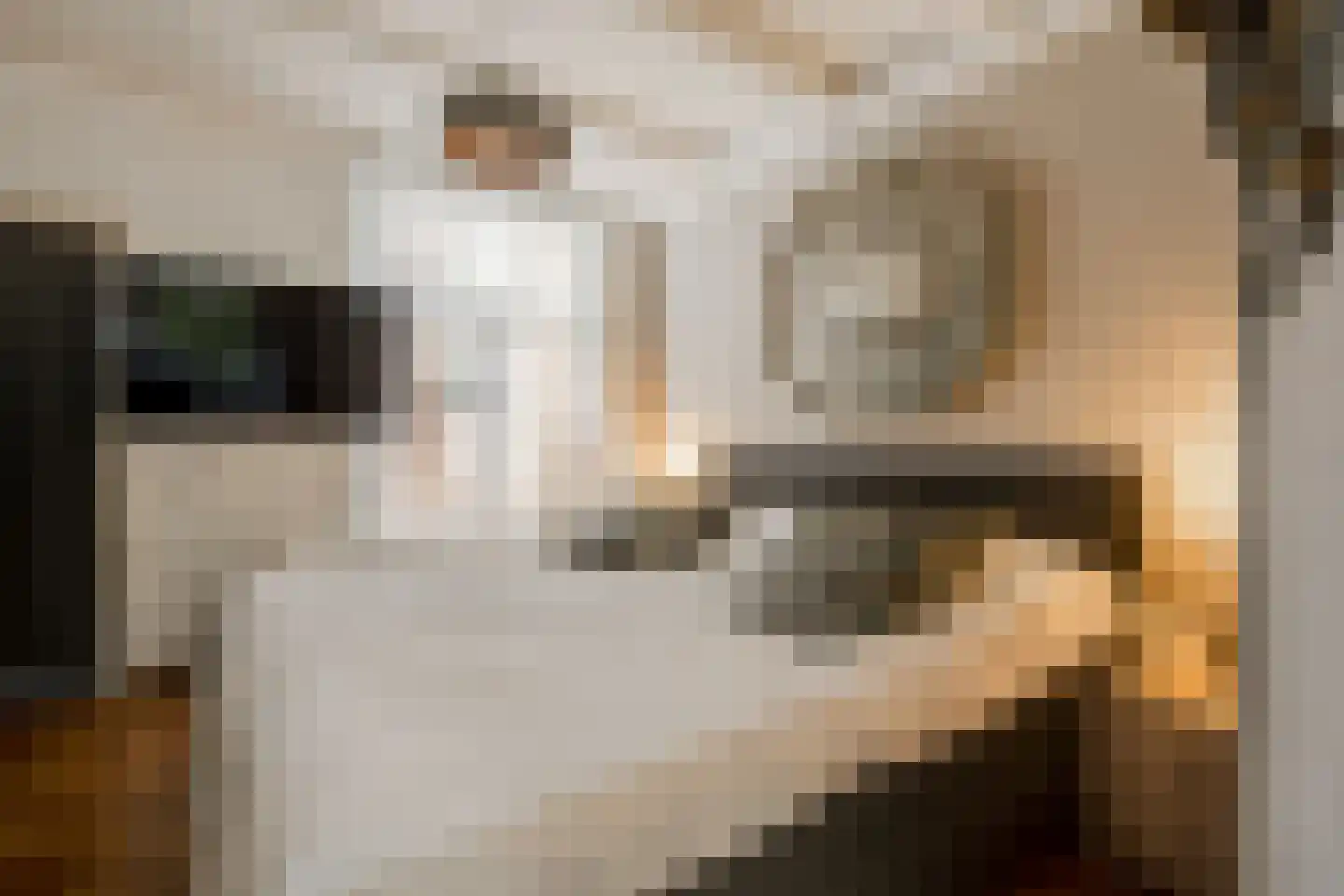 Leidsegracht 49 Amsterdam thumbnail 22