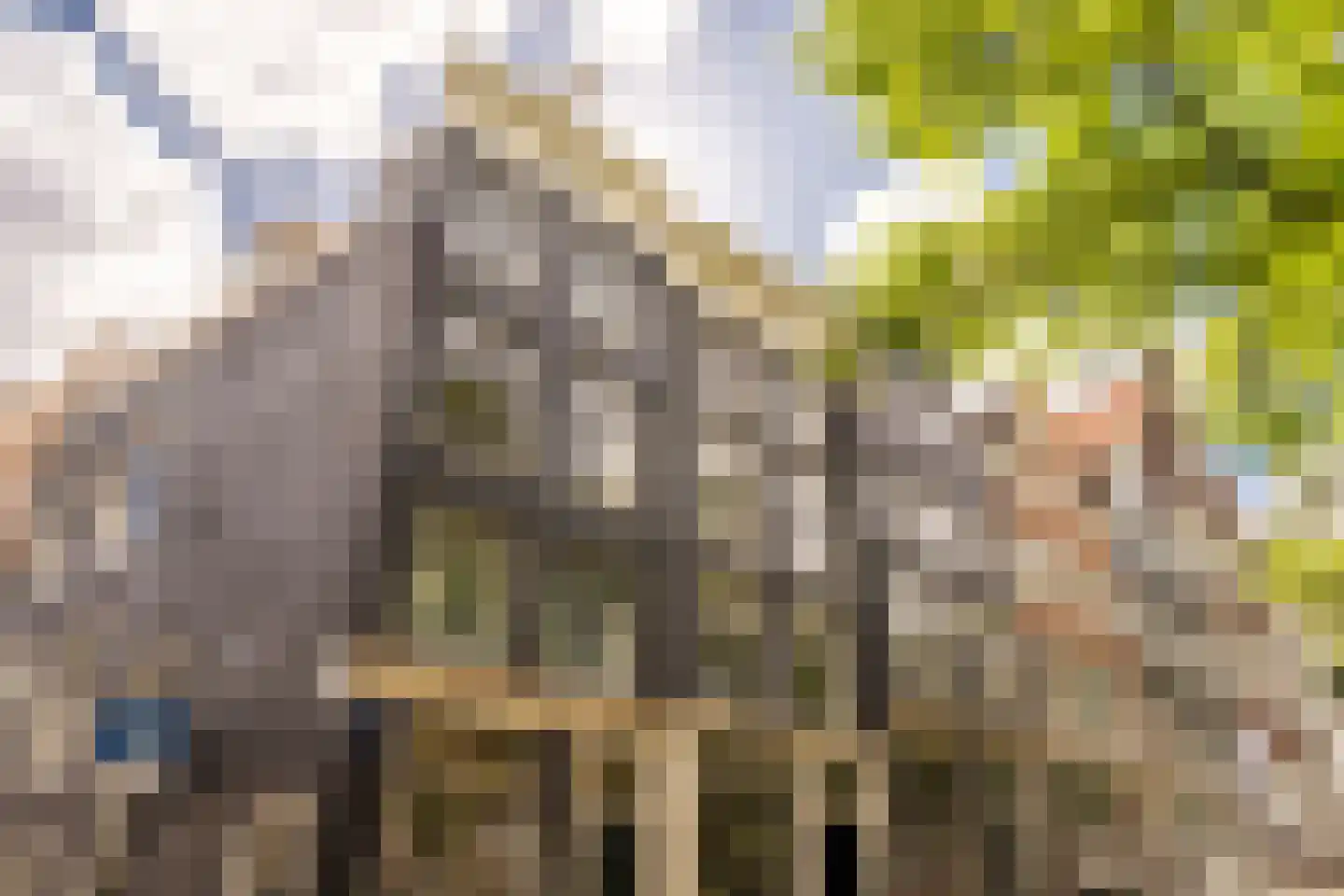 Leidsegracht 49 Amsterdam thumbnail 53