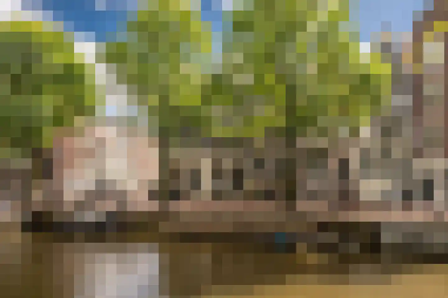 Leidsegracht 49 Amsterdam thumbnail 54