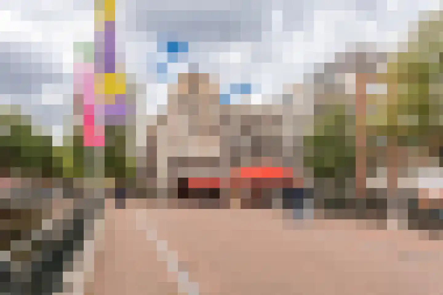 Leidsegracht 49 Amsterdam thumbnail 59