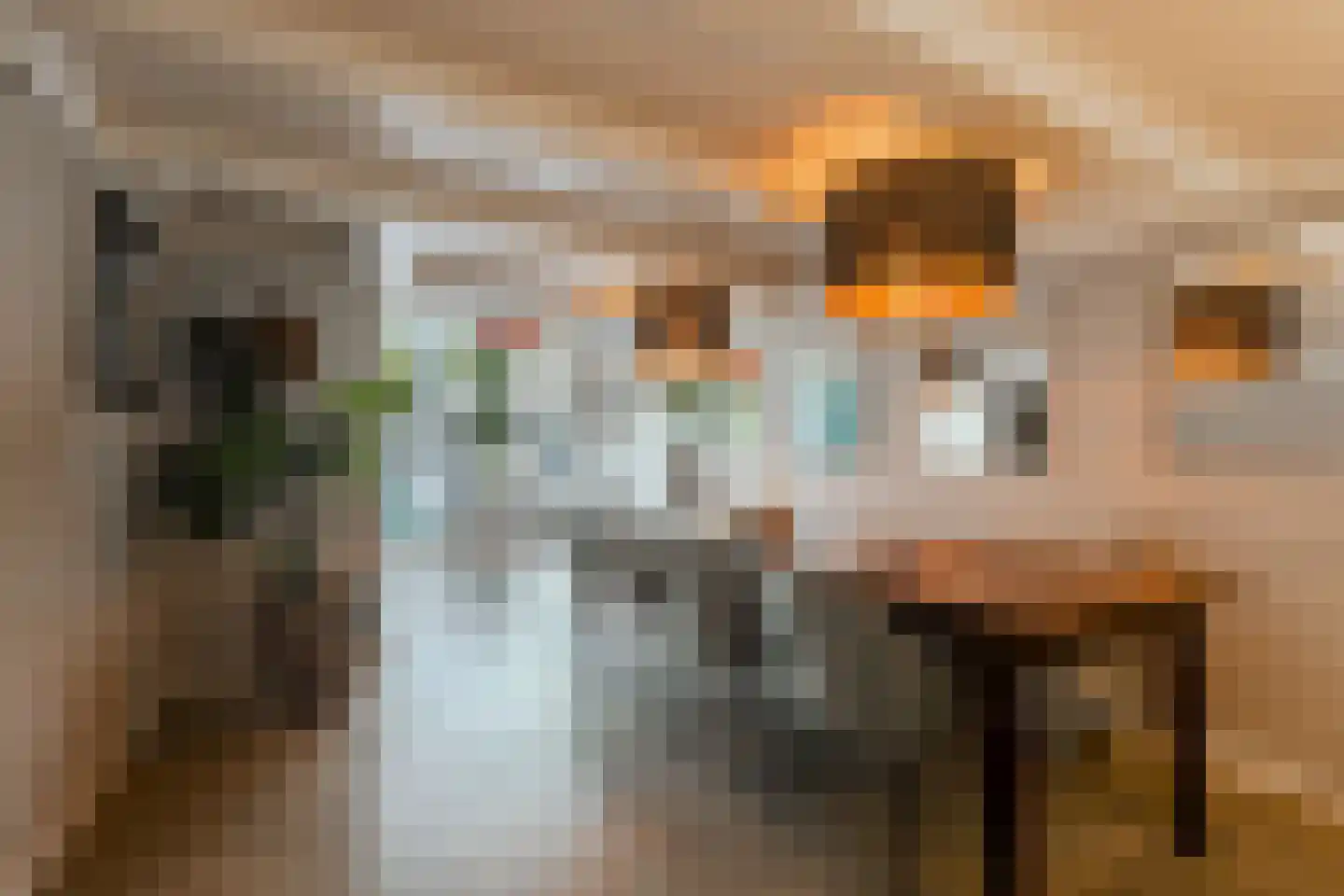 Leidsegracht 49 Amsterdam thumbnail 7