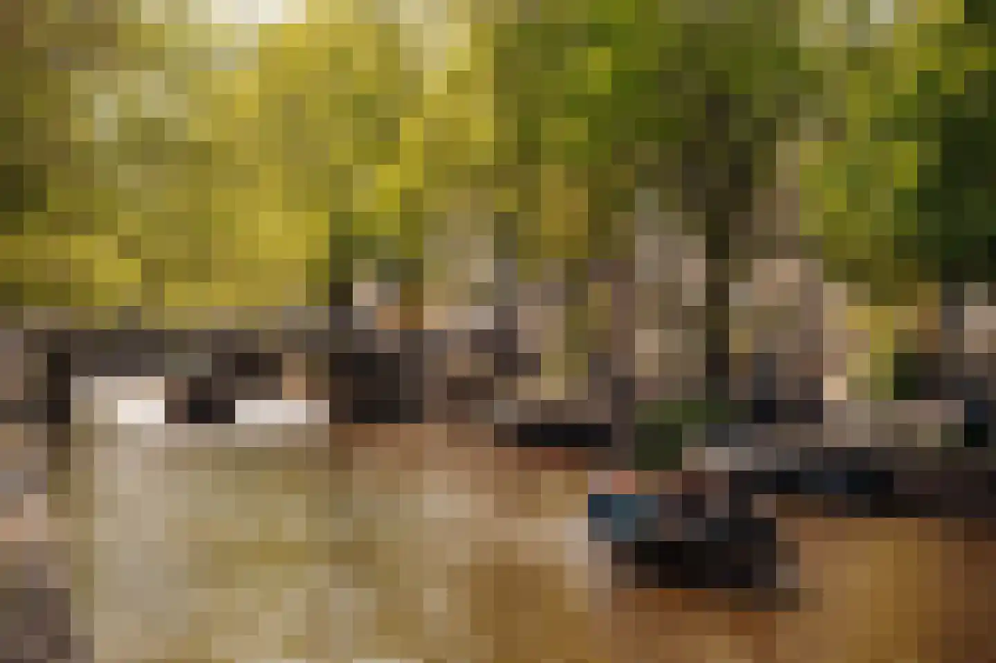 Leidsegracht 80 Amsterdam thumbnail 41