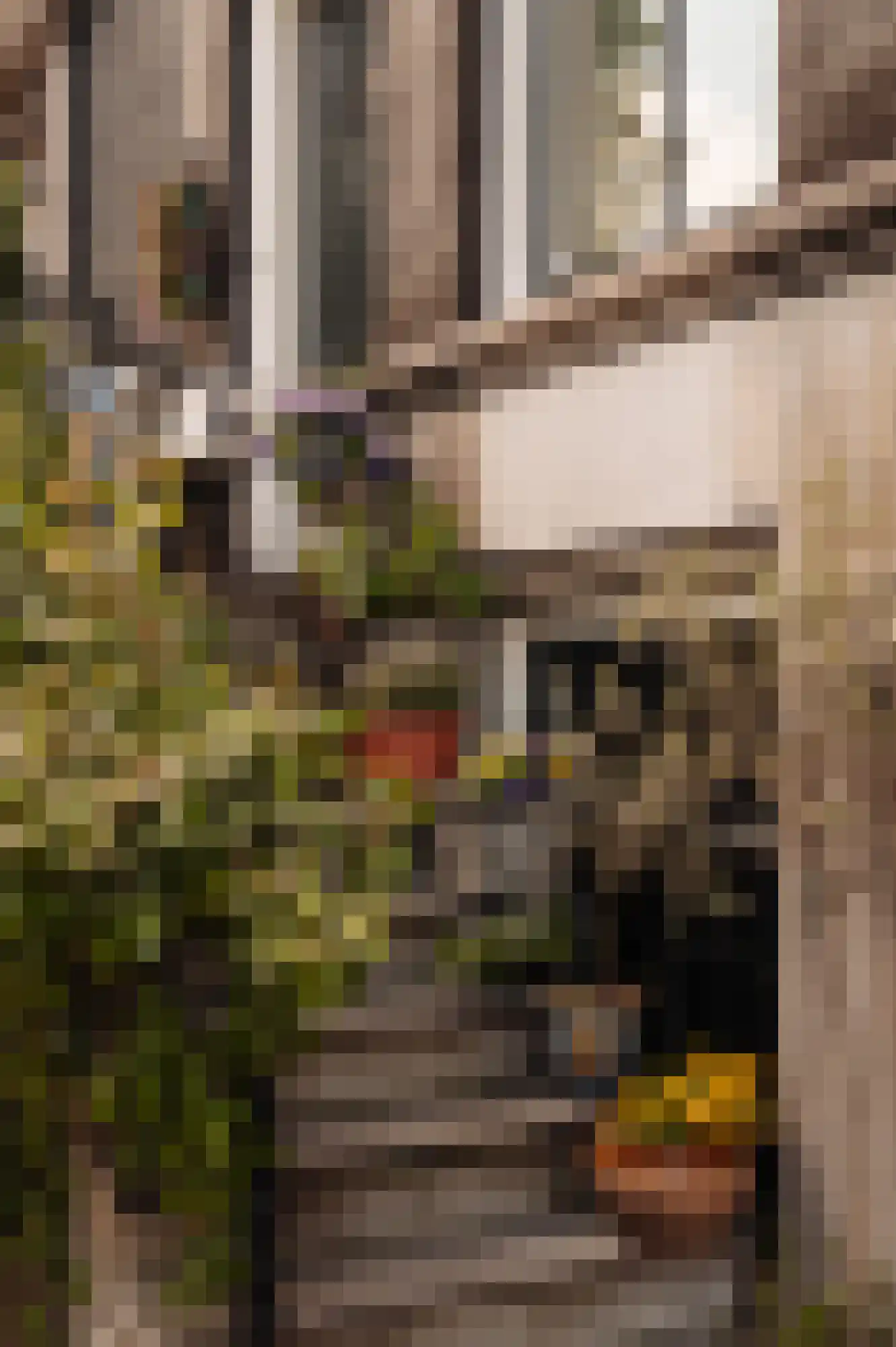 Leidsegracht 80 Amsterdam thumbnail 5