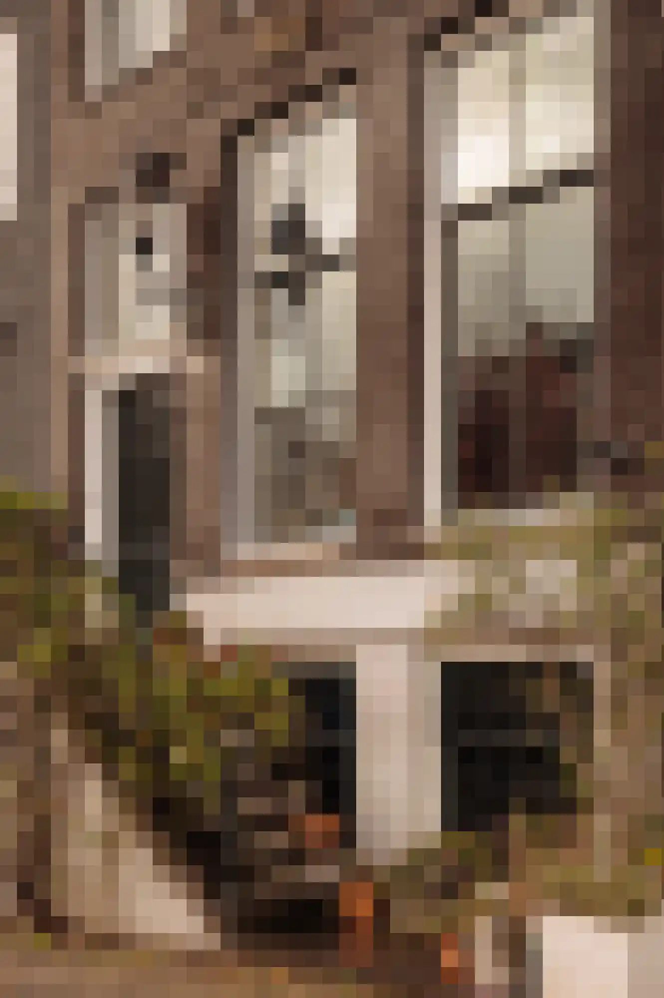 Leidsegracht 80 Amsterdam thumbnail 6