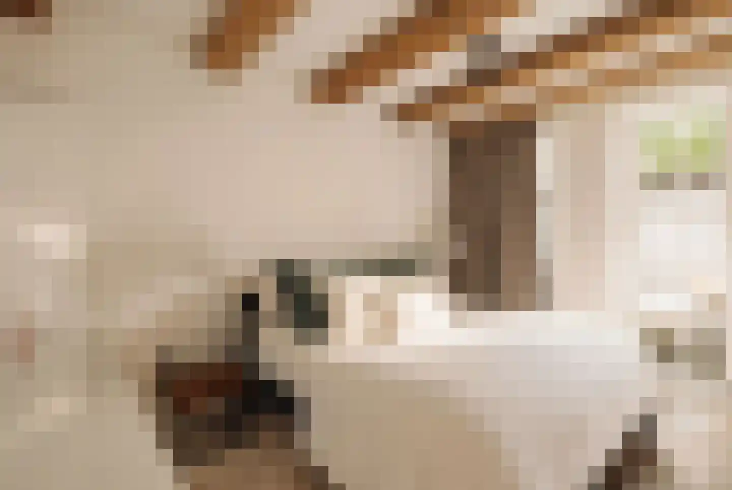 Leidsegracht 82 B Amsterdam thumbnail 14