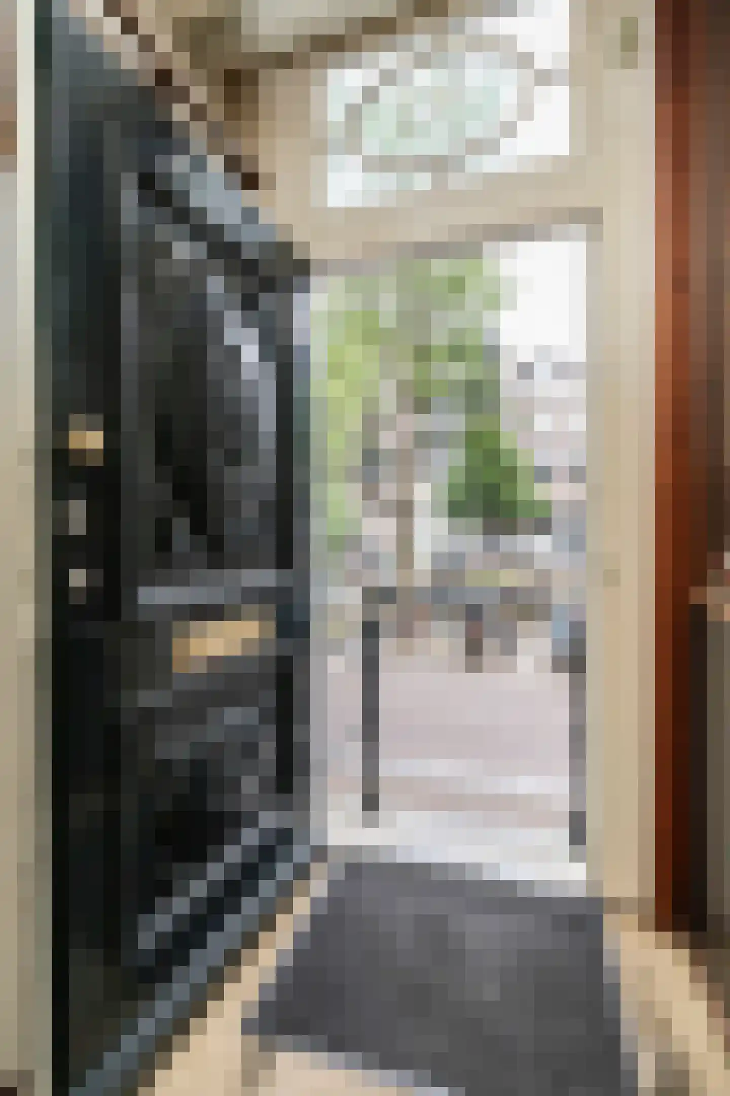 Leidsegracht 93 Amsterdam thumbnail 12