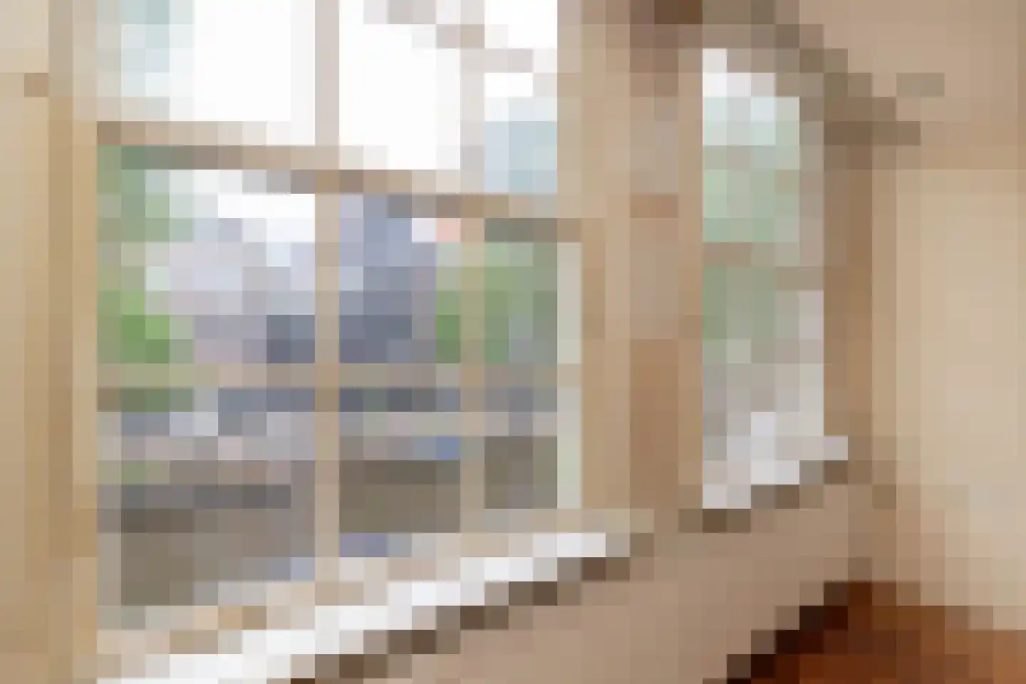 Leidsegracht 93 Amsterdam thumbnail 27