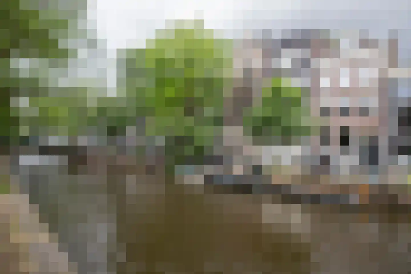 Leidsegracht 93 Amsterdam foto 3