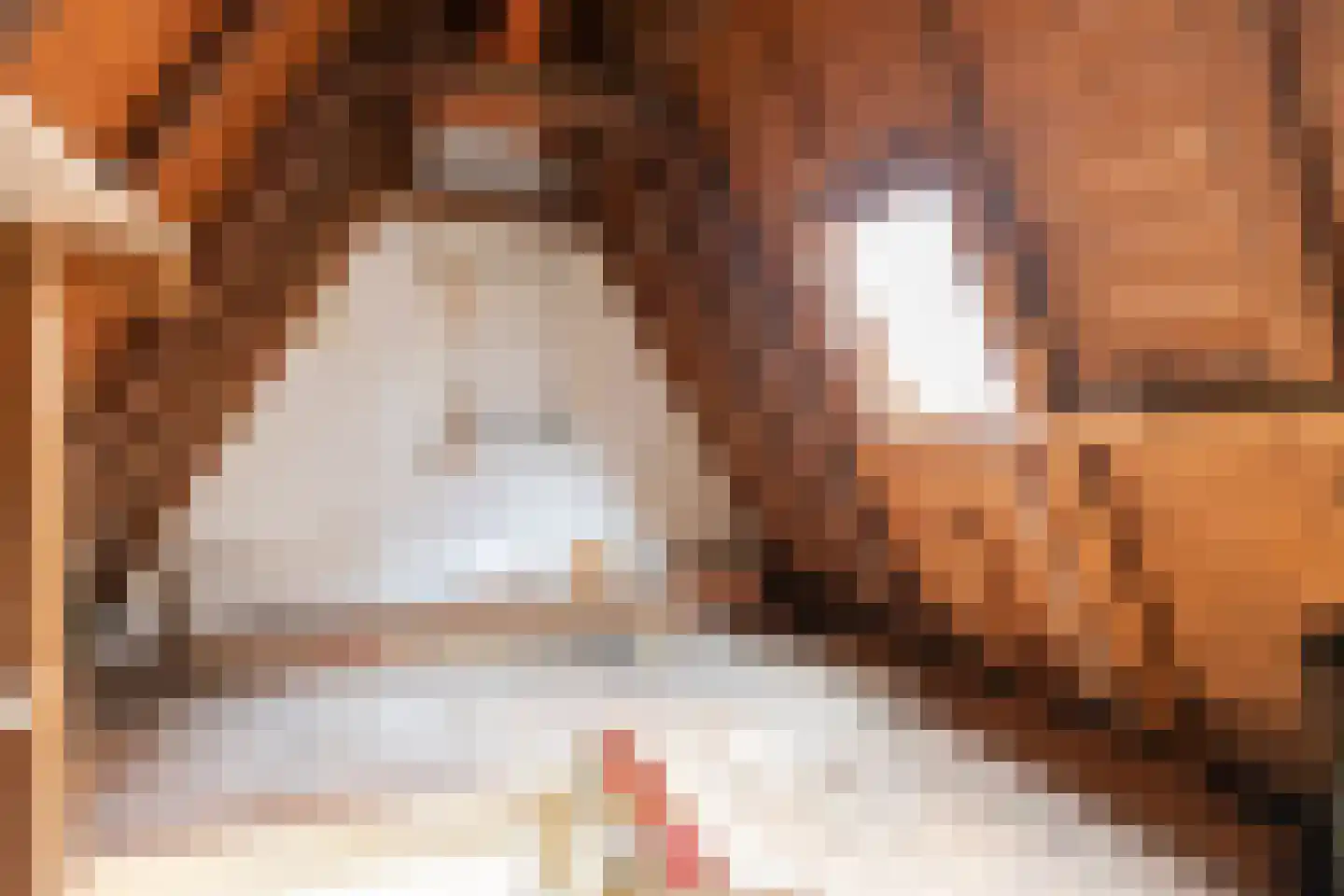 Leidsegracht 93 Amsterdam thumbnail 47