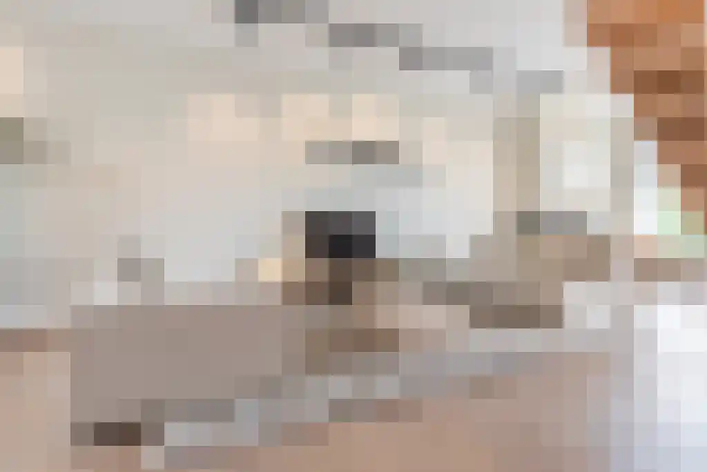 Leidsekade 102 D Amsterdam thumbnail 5
