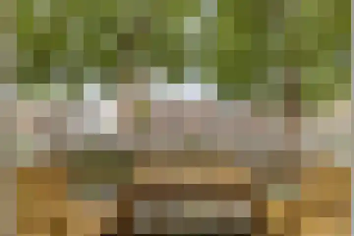 Leidsekade 102 Utrecht thumbnail 11
