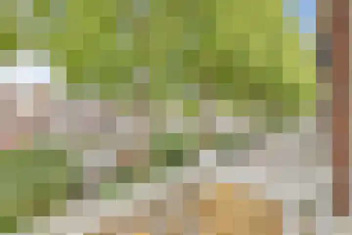 Leidsekade 102 Utrecht thumbnail 13