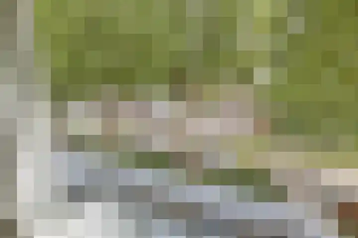 Leidsekade 102 Utrecht thumbnail 14