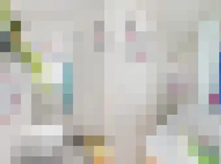 Leidsekade 102 Utrecht thumbnail 15