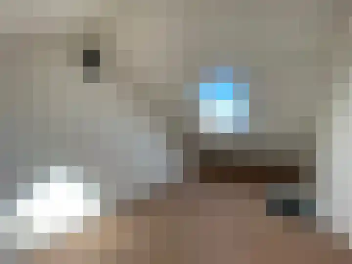 Leidsekade 102 Utrecht thumbnail 17