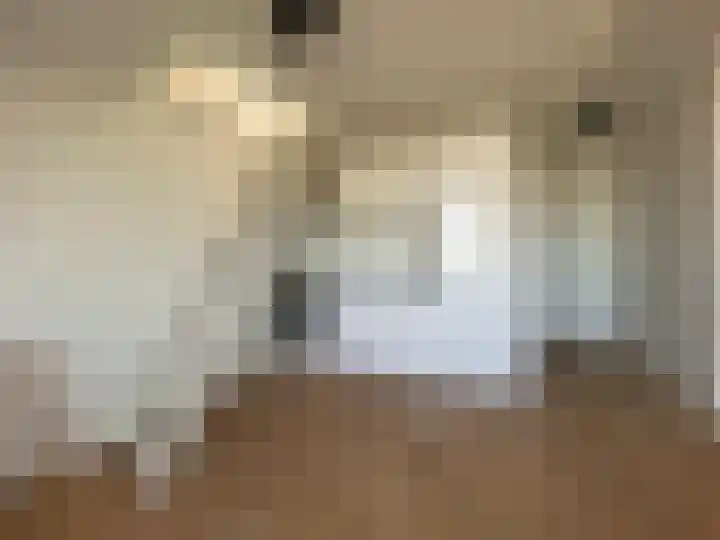 Leidsekade 102 Utrecht thumbnail 18