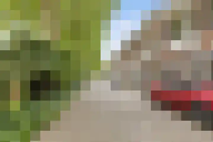Leidsekade 102 Utrecht thumbnail 24