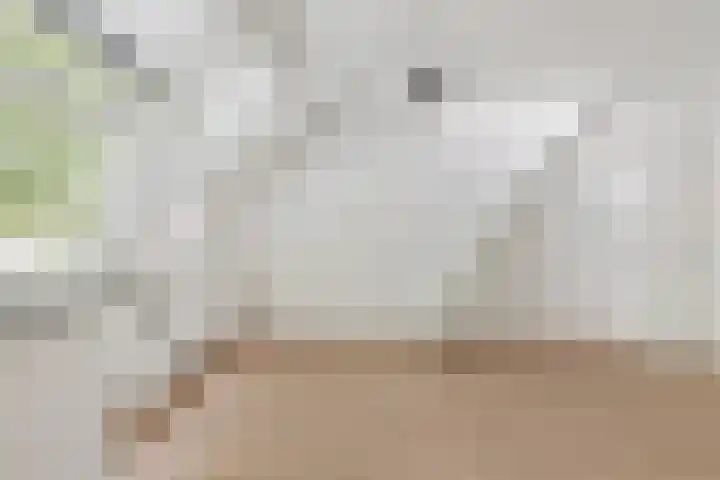 Leidsekade 102 Utrecht thumbnail 7