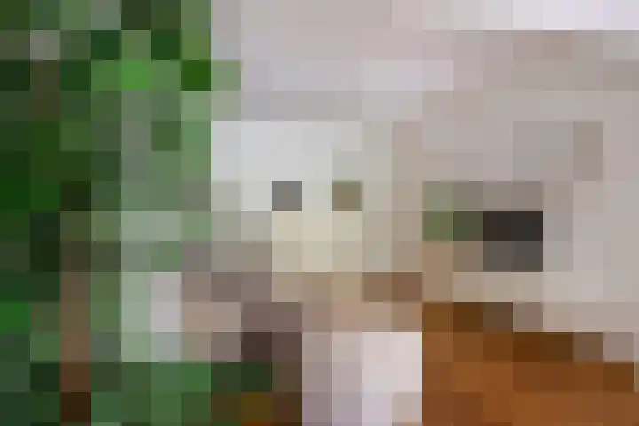 Leidsekade 104 Utrecht thumbnail 10