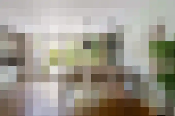 Leidsekade 104 Utrecht thumbnail 16