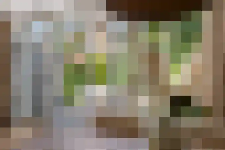 Leidsekade 104 Utrecht thumbnail 18