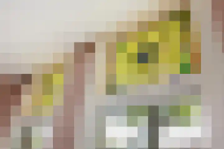 Leidsekade 104 Utrecht thumbnail 21