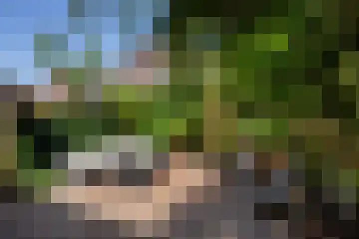 Leidsekade 104 Utrecht thumbnail 26