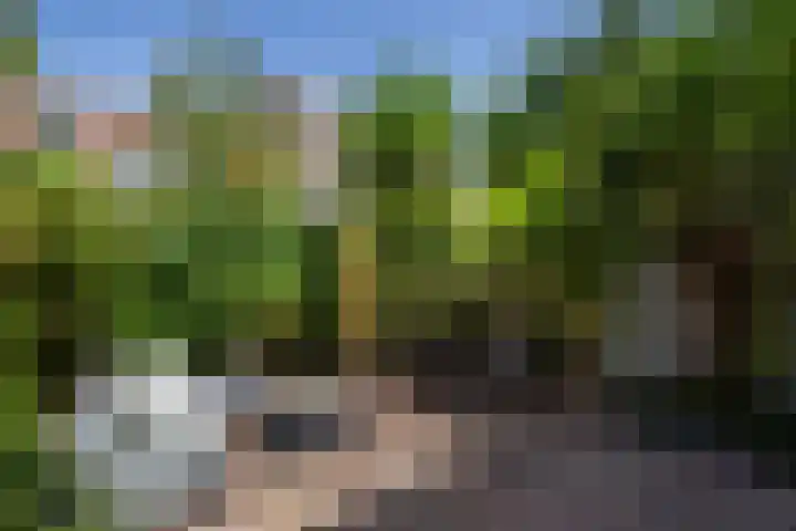 Leidsekade 104 Utrecht thumbnail 27