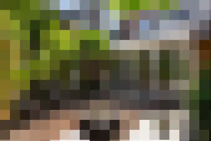 Leidsekade 104 Utrecht thumbnail 29