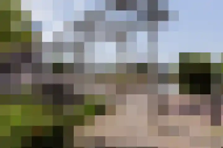 Leidsekade 104 Utrecht thumbnail 31