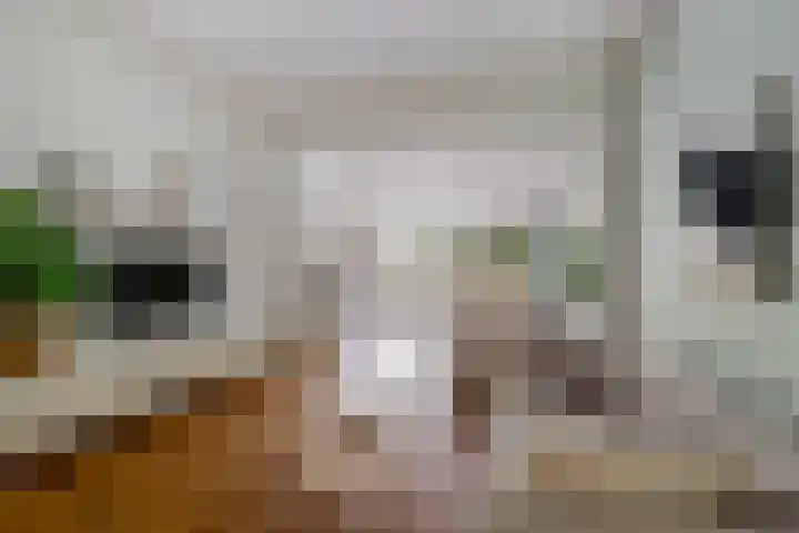 Leidsekade 104 Utrecht thumbnail 5