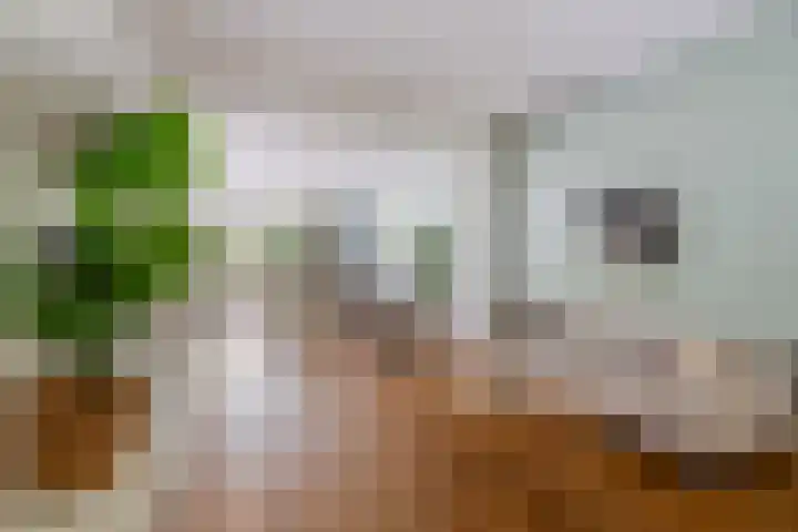 Leidsekade 104 Utrecht thumbnail 6