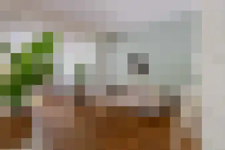 Leidsekade 104 Utrecht thumbnail 7