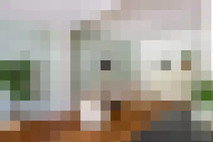 Leidsekade 104 Utrecht thumbnail 9